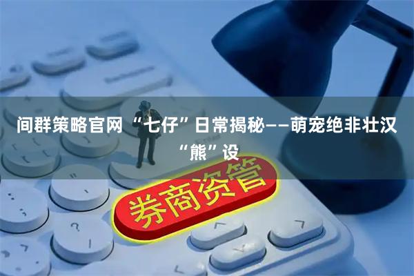 间群策略官网 “七仔”日常揭秘——萌宠绝非壮汉“熊”设